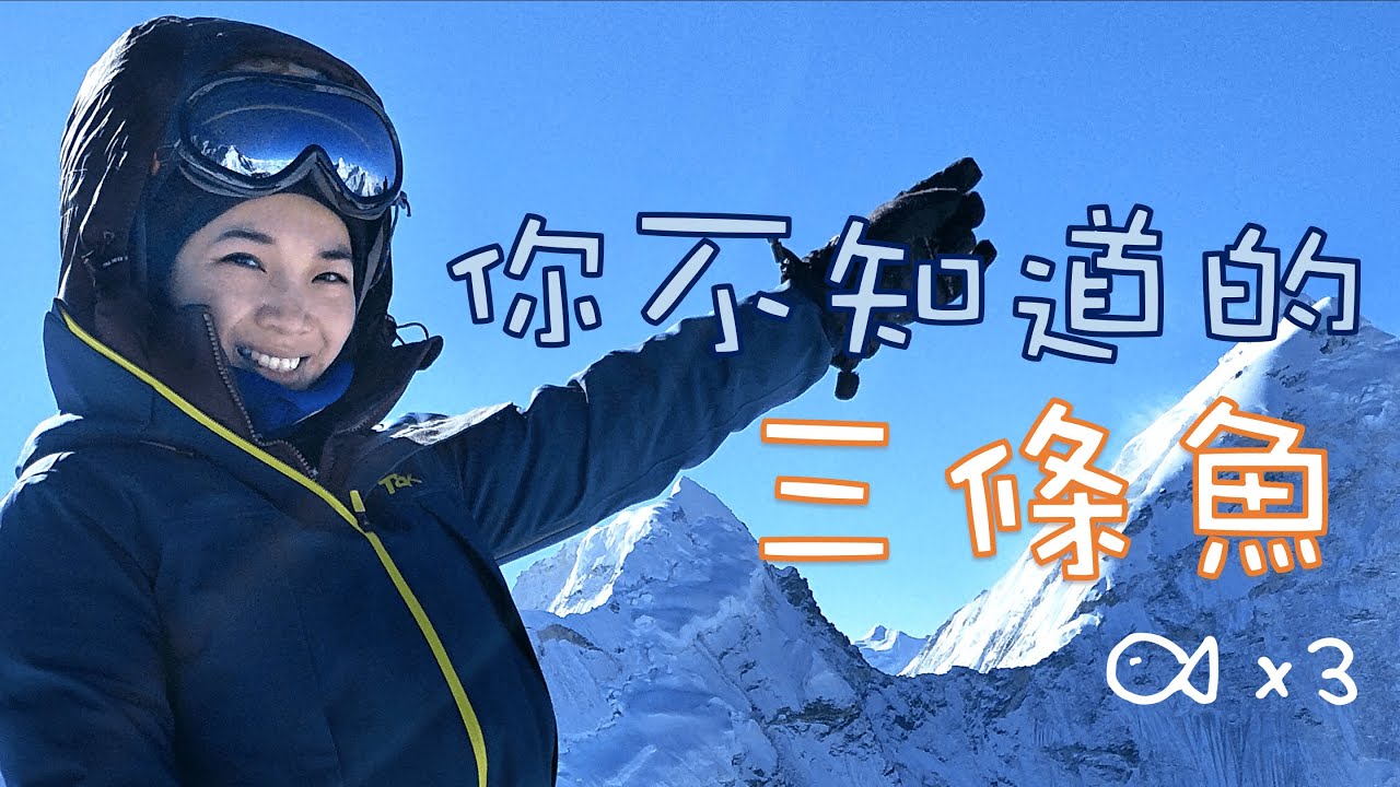 :::三條魚遊來游去::: 你不知道的三條魚！