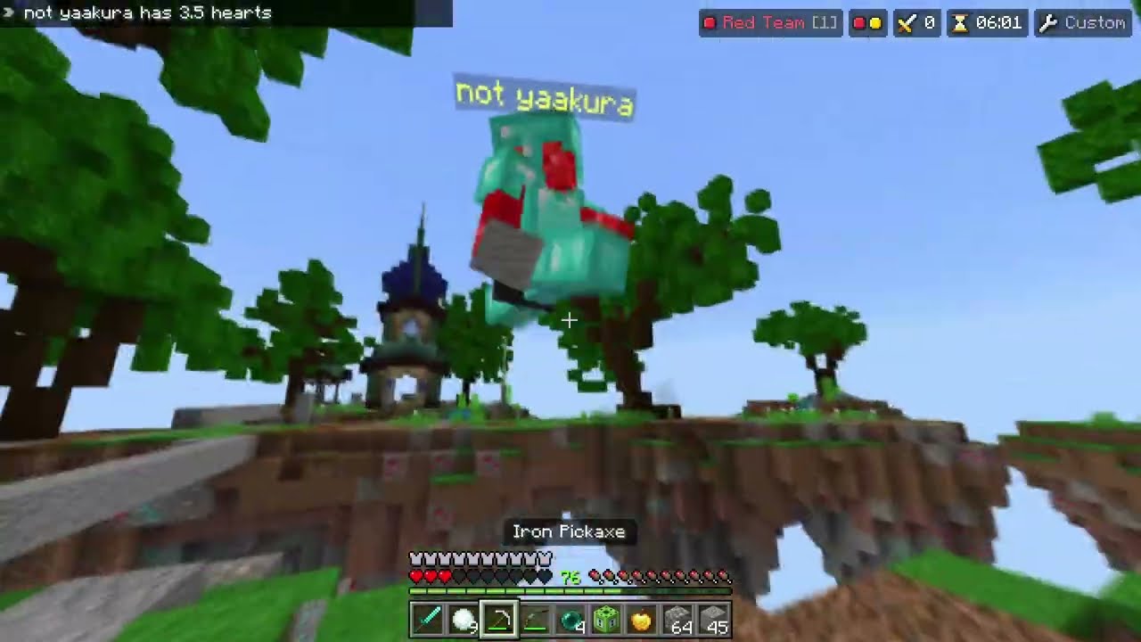 I Fought The Greatest Skywars Player of All Time (ft. not yaakura)