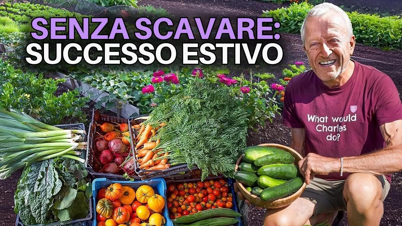 Tour nell'Orto Senza Scavo: Raccolti, Successioni e Nuove Semine a Homeacres