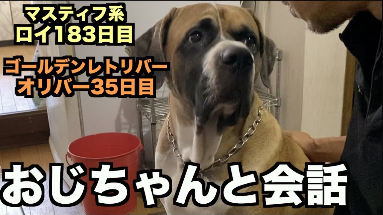 おっさんとおじちゃん