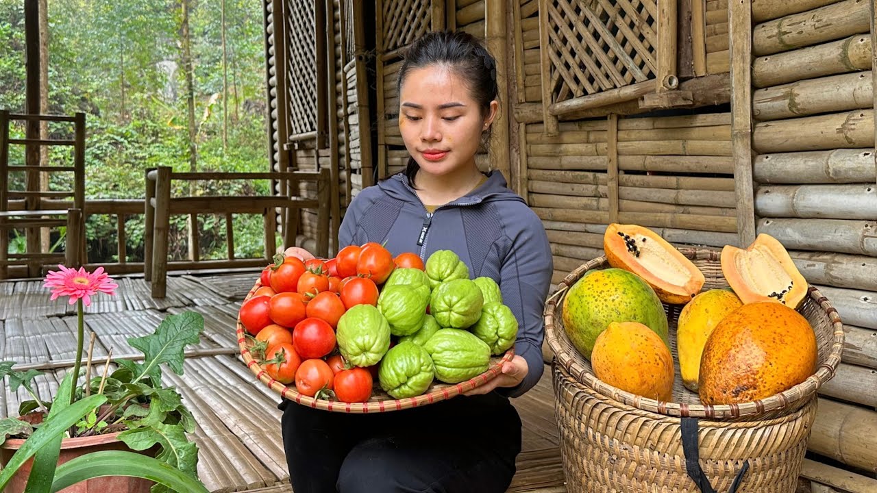 Harvesting papaya, tomatoes, and chayote to sell at the market - Cooking