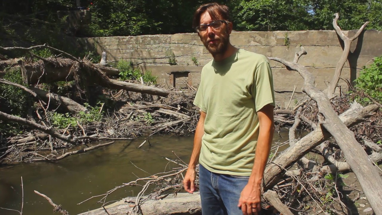 Shapp Dam Removal