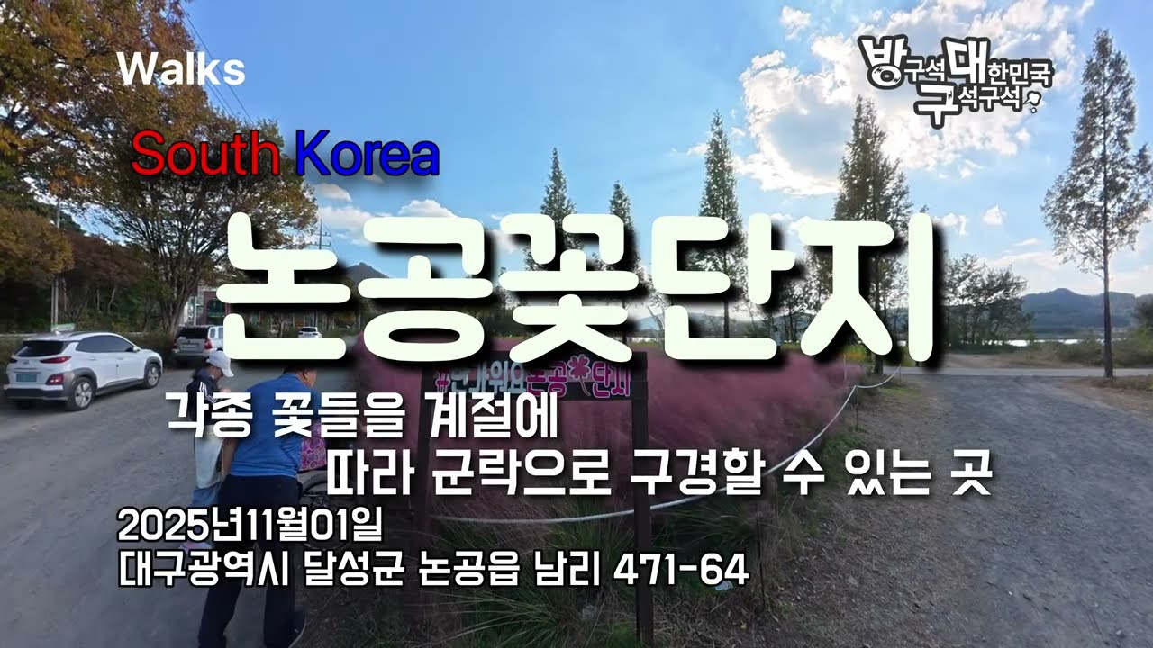 각종 꽃의 계절별 군락을 구경할 수 있는 논공꽃단지 - Daegu Nongong Flower Complex