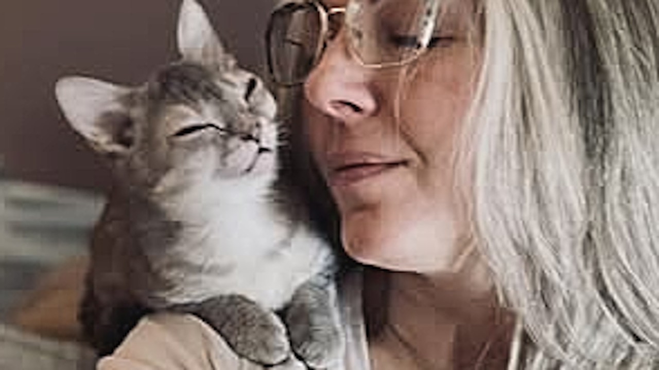 Cat deemed worthless turns out to be total lovebug