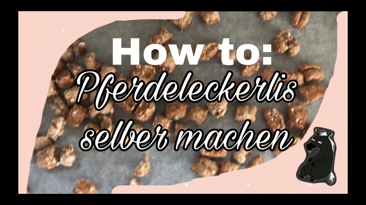 Pferdeleckerlis selber machen//DIY