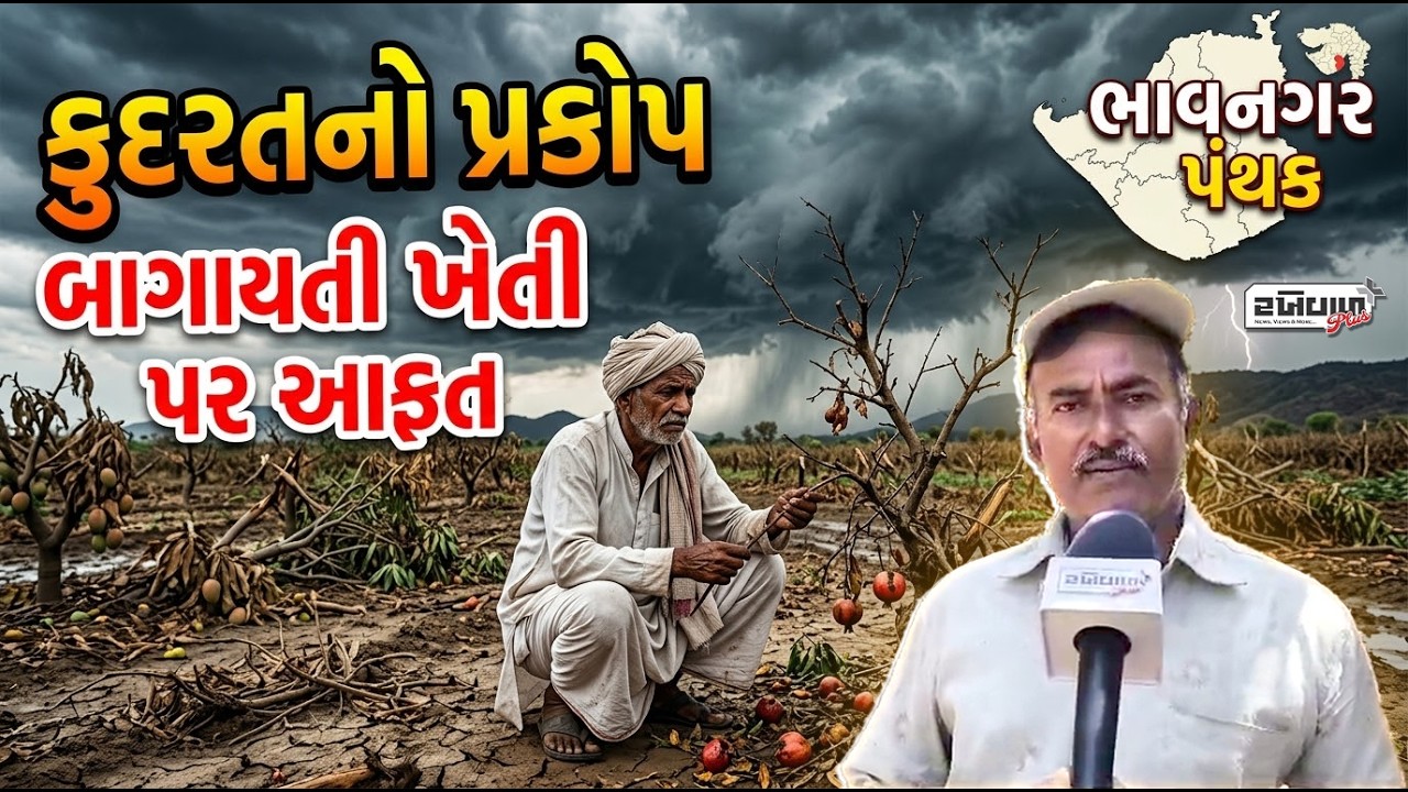 ભાવનગર પંથકમાં કુદરતનો પ્રકોપ : બાગાયતી ખેતી પર આફત
