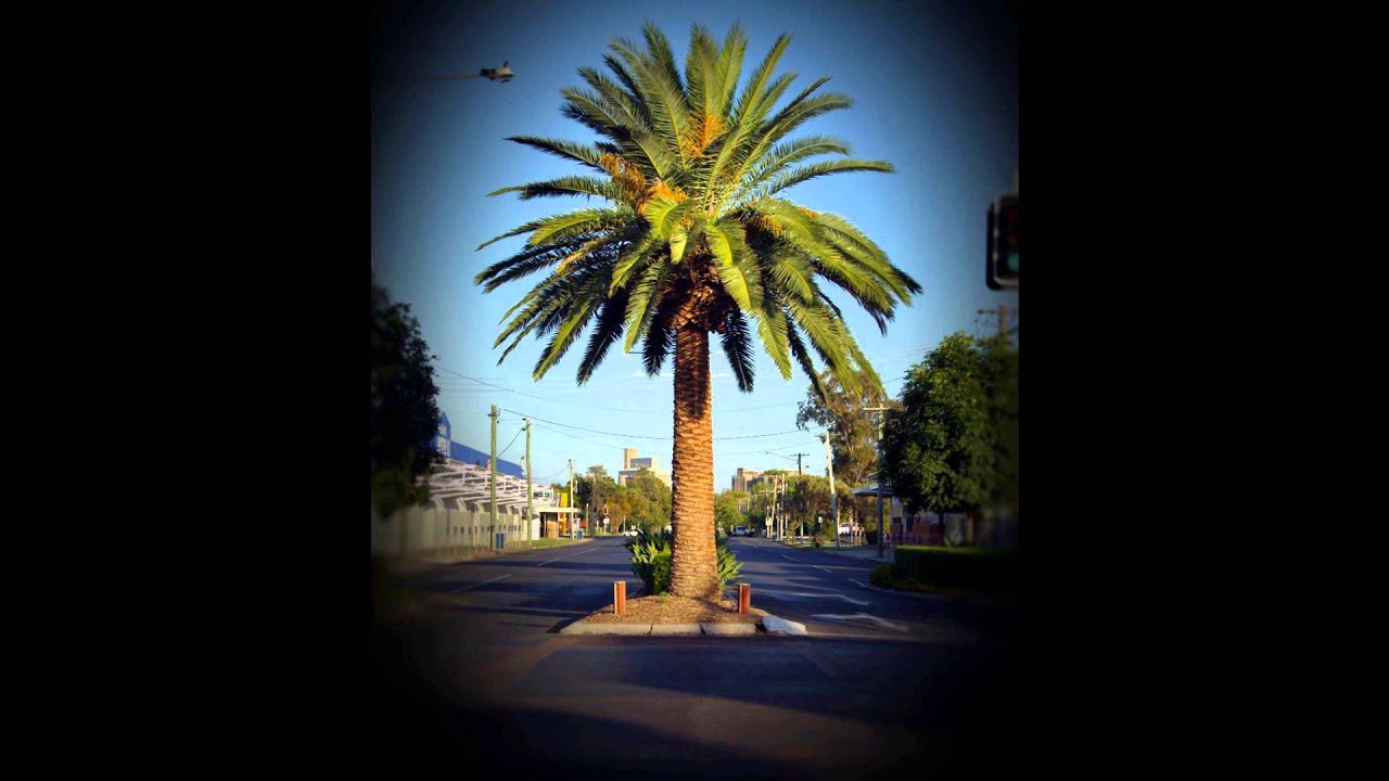 Kronik - Once Again (FREE DOWNLOAD!!! New 2013 G-funk Instrumental)