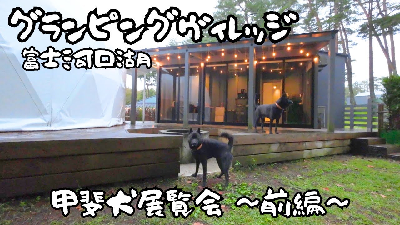 【甲斐犬展覧会】グランピングヴィレッジ富士河口湖にお泊まり