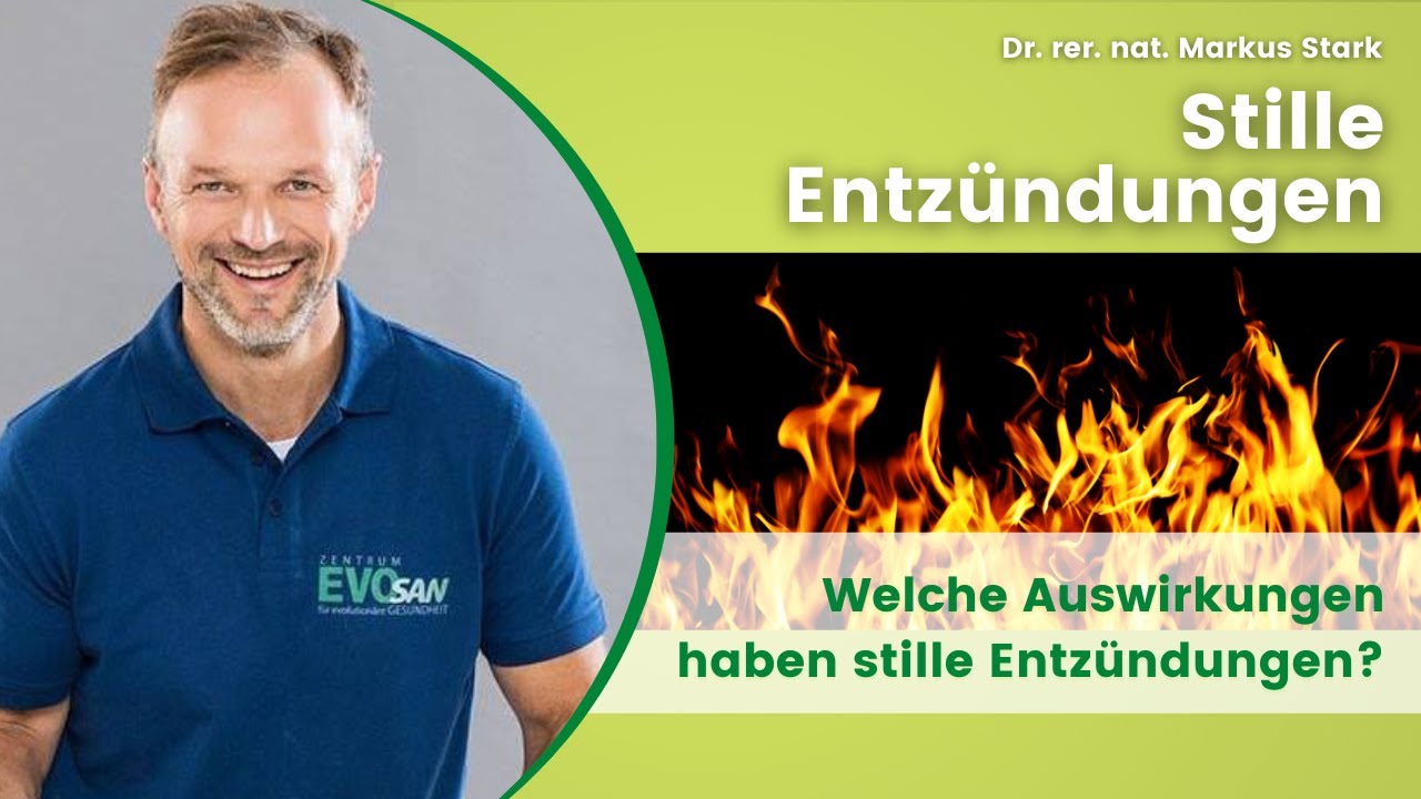 Stille Entz&uuml;ndungen - Auswirkungen & Ursachen, Markus Stark