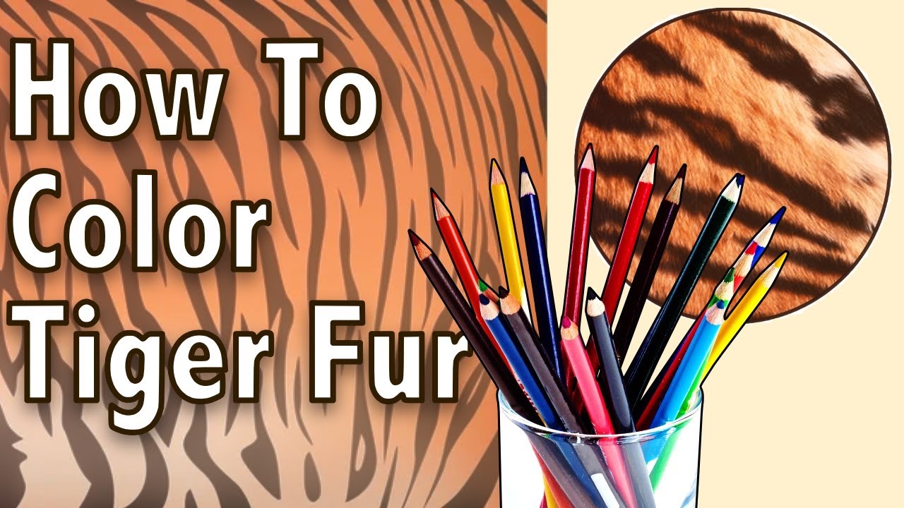 Realistic Tiger Fur With Colored Pencils