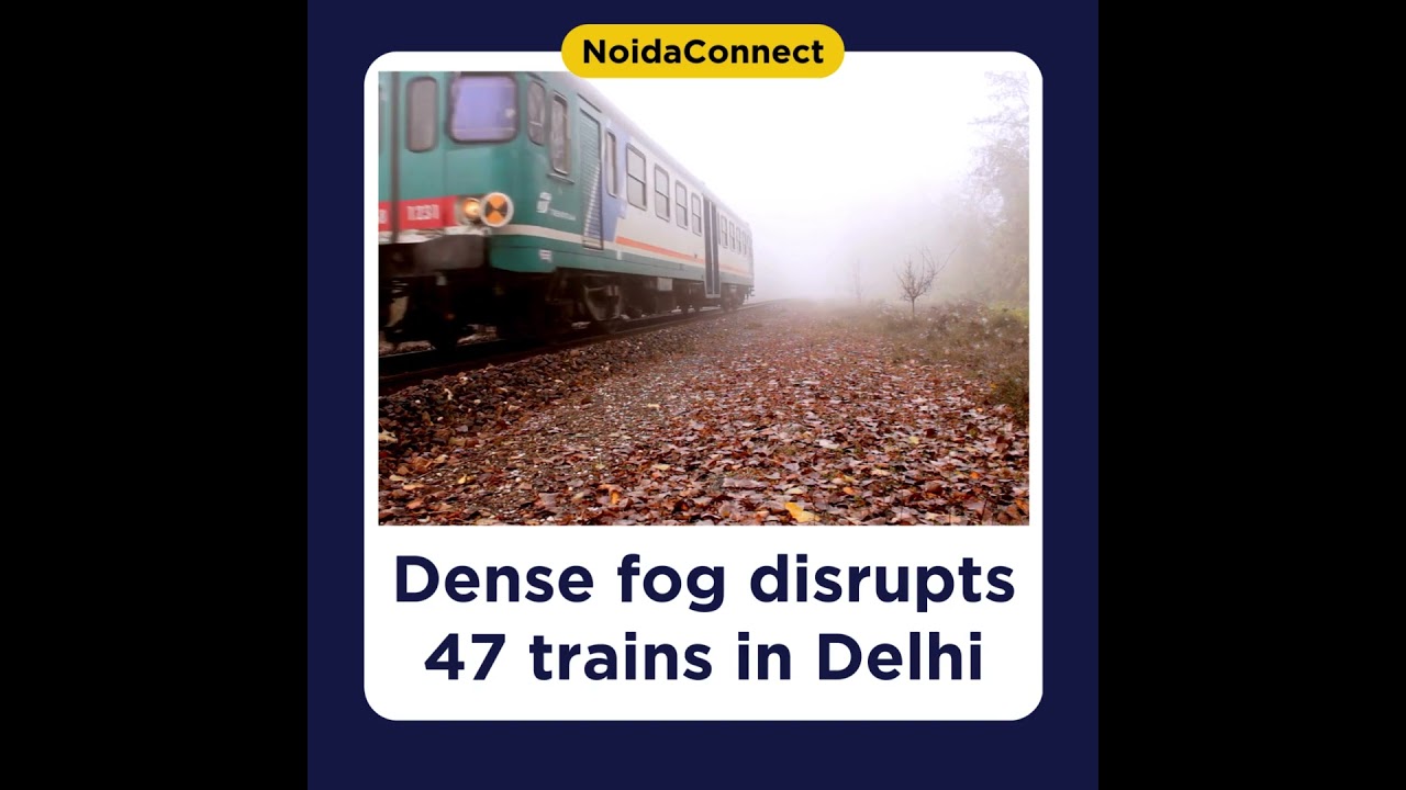 Dense fog disrupts 47 trains in Delhi