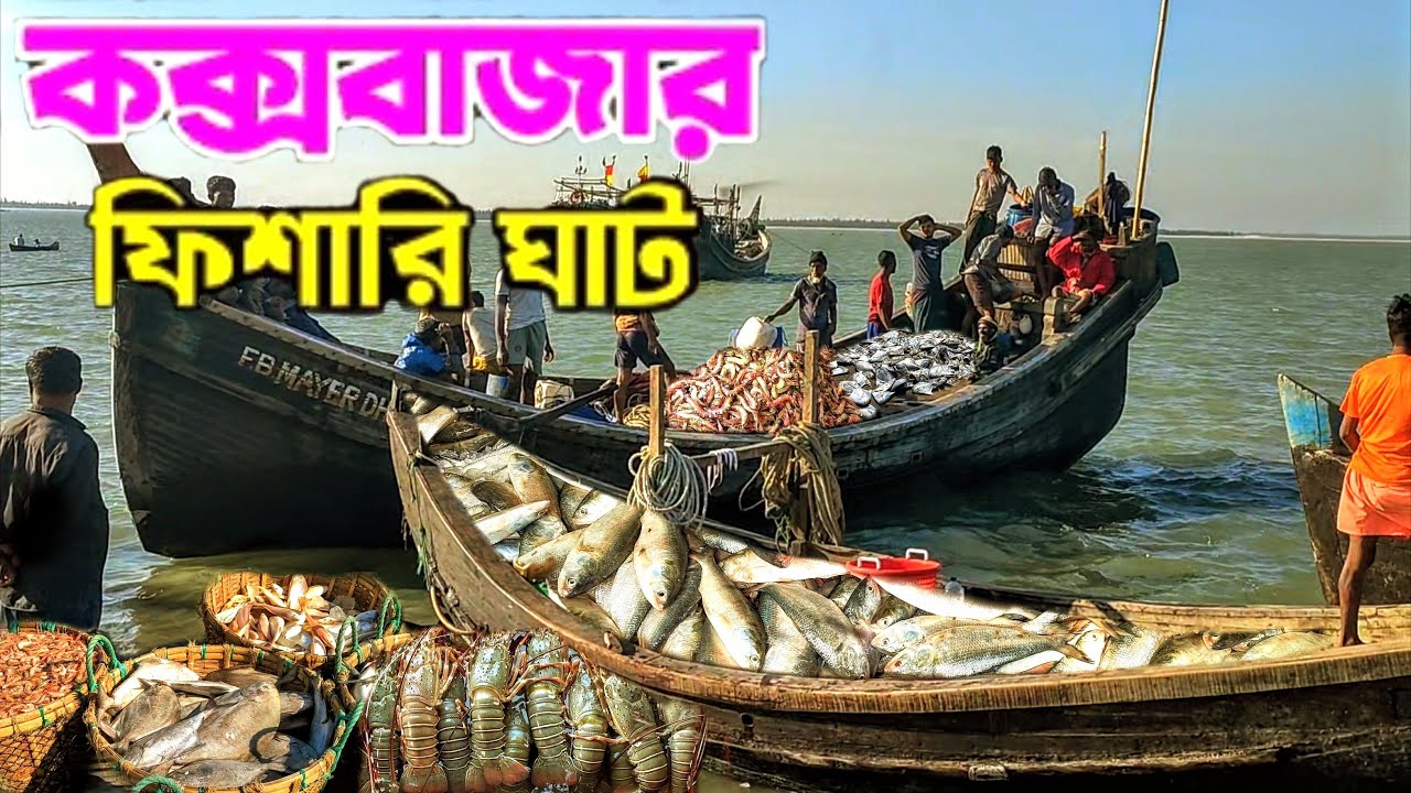 কক্সবাজার ফিশারি ঘাট সামুদ্রিক মাছের বিশাল বাজার Cox's Bazar Fishery Ghat  a huge marine fish market
