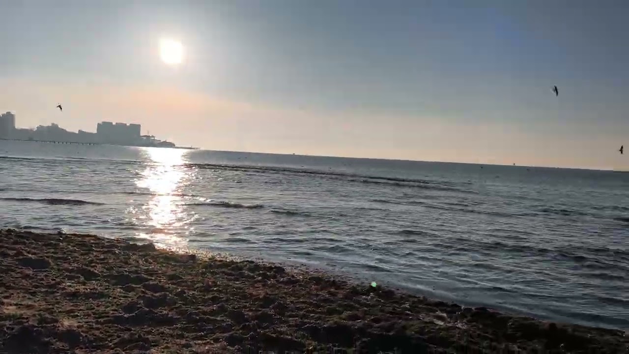 #АНАПА.04.02.26.-1.РЕКА АНАПКА ОПЯТЬ ВПАДАЕТ В МОРЕ.ПИОНЕРСКИЙ ПЛЯЖ.ЧИСТОЕ МОРЕ.ВСЕМ ЗДОРОВЬЯ!