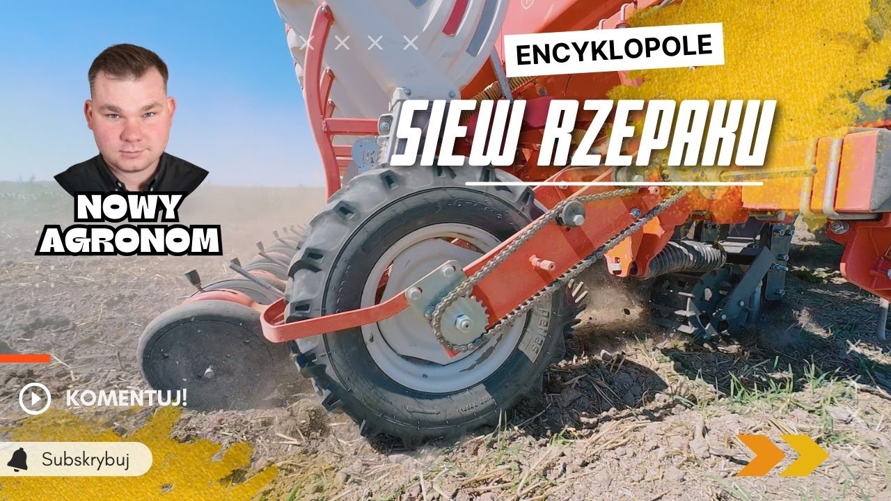 Siew rzepaku 2024 - ważne informacje, o których powinniście pamiętać! e-pole