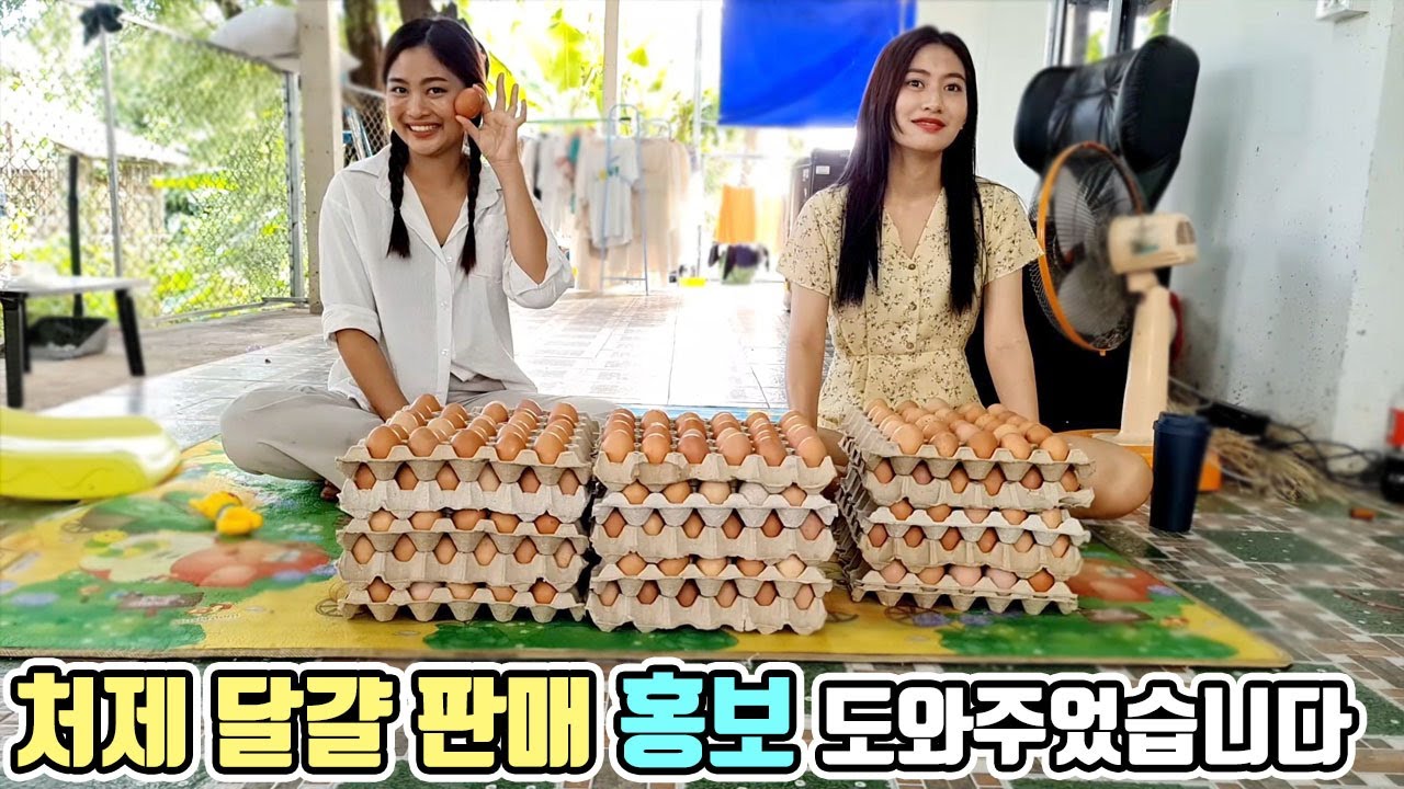 달걀은 많은데 안 팔린다고? 달걀 사서 나눔으로 홍보 도와주기!