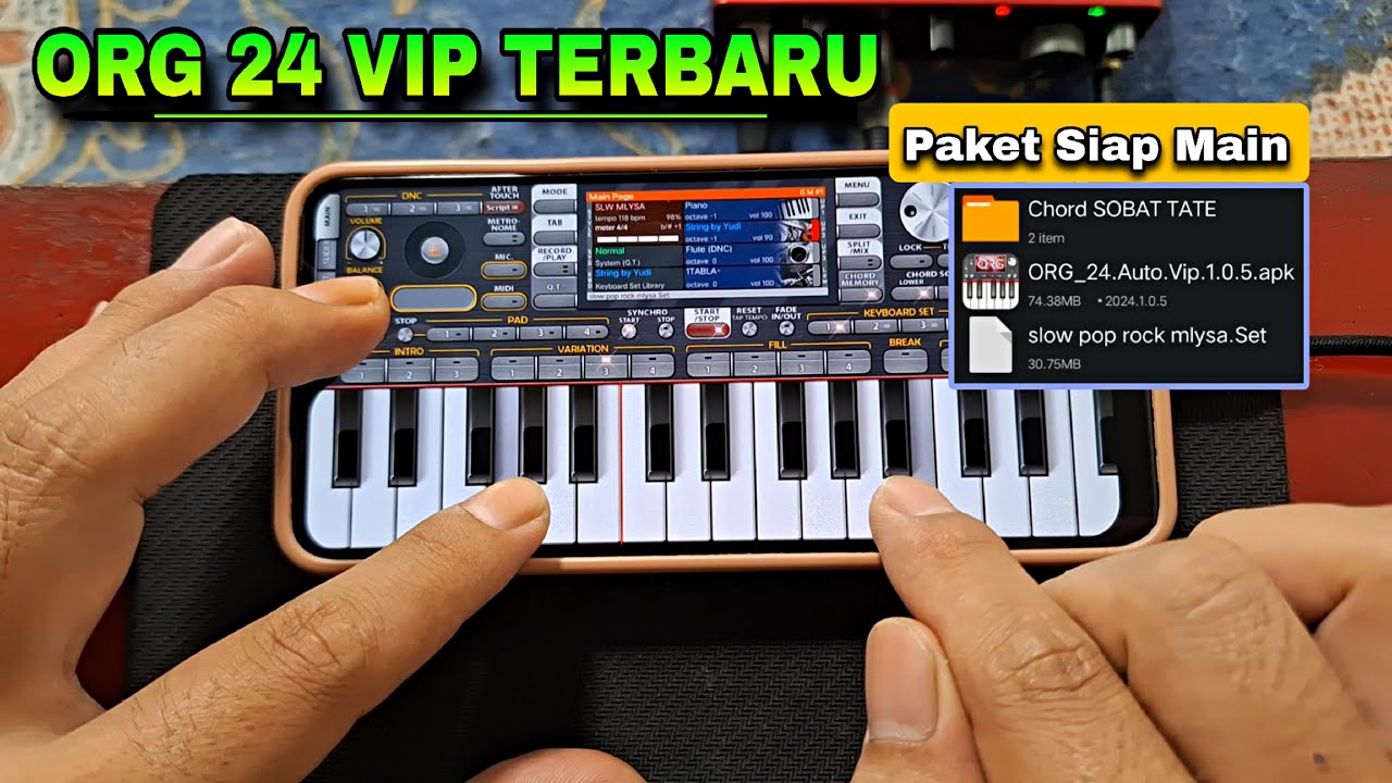СКАЧАТЬ ПОСЛЕДНЮЮ ОРГ 24 VIP | Сразу готов к игре