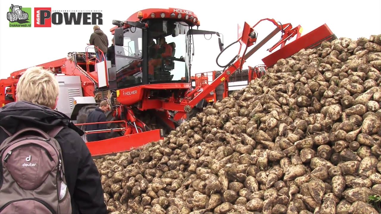 Bietenmuis Holmer Terra Felis 2 - Beet Europe 2010 - Agrio