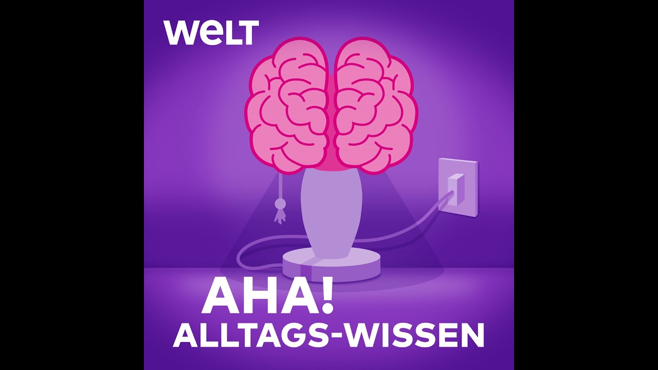 Powernap und Mittagsschlaf –  So wirkt kurzer Schlaf auf Gehirn und Konzentration