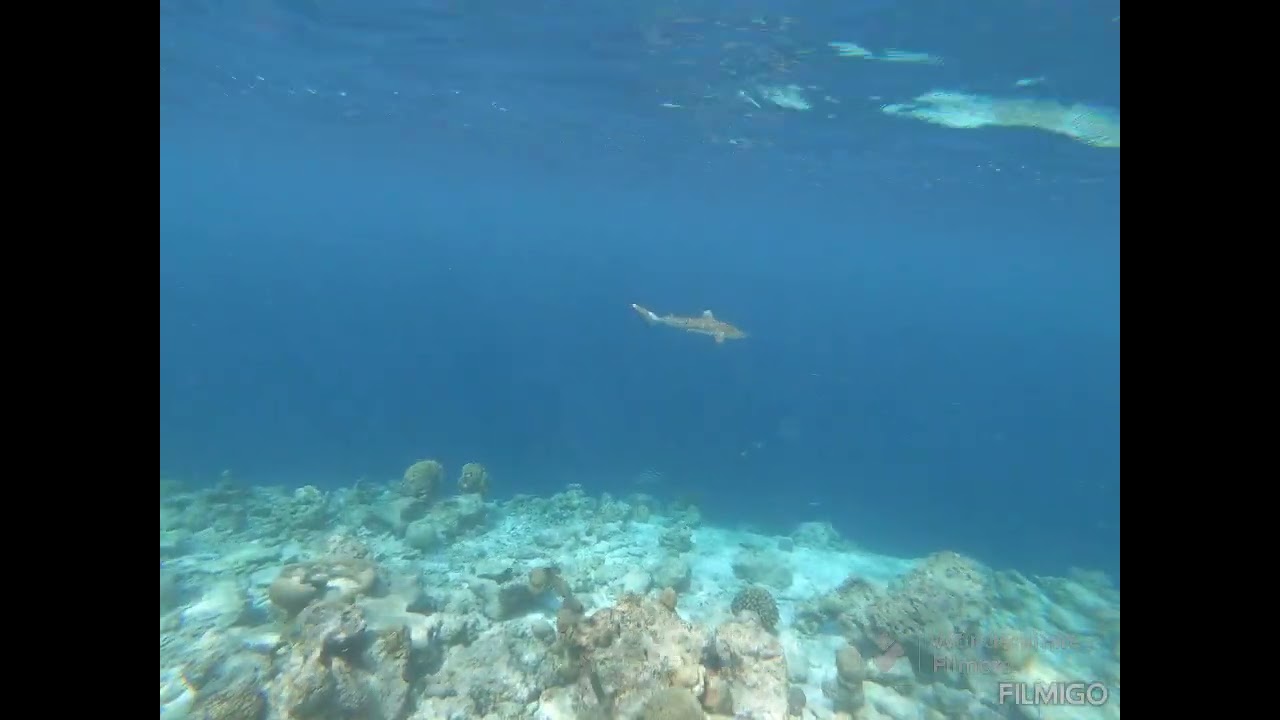 Dreamland Malediven  Baa Atoll  Juli 2023