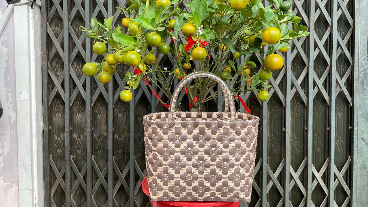 Giỏ Đan dây nhựa lưới 1, Mesh basket 1