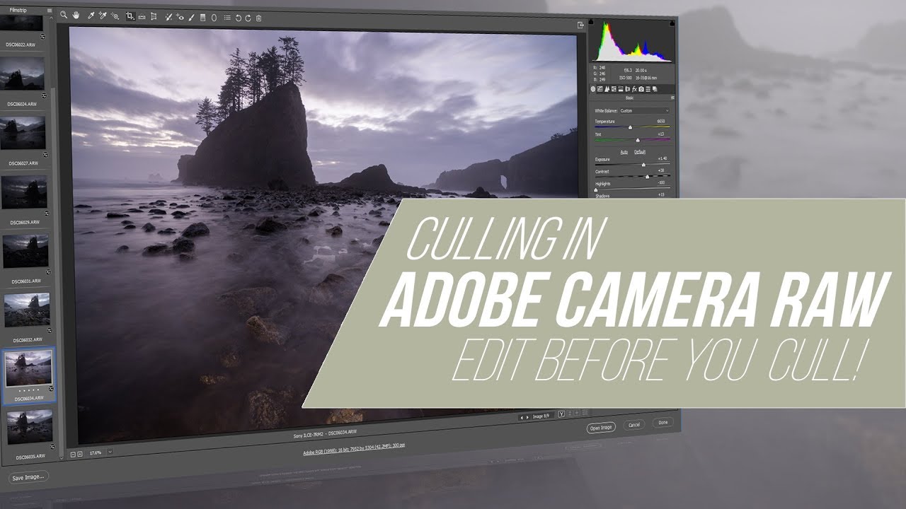 How to Use Adobe Camera Raw to Cull Your Photos