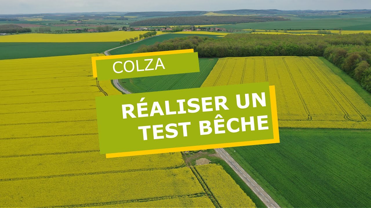 Observer l'état structural du sol avant l'implantation du colza : le test bêche