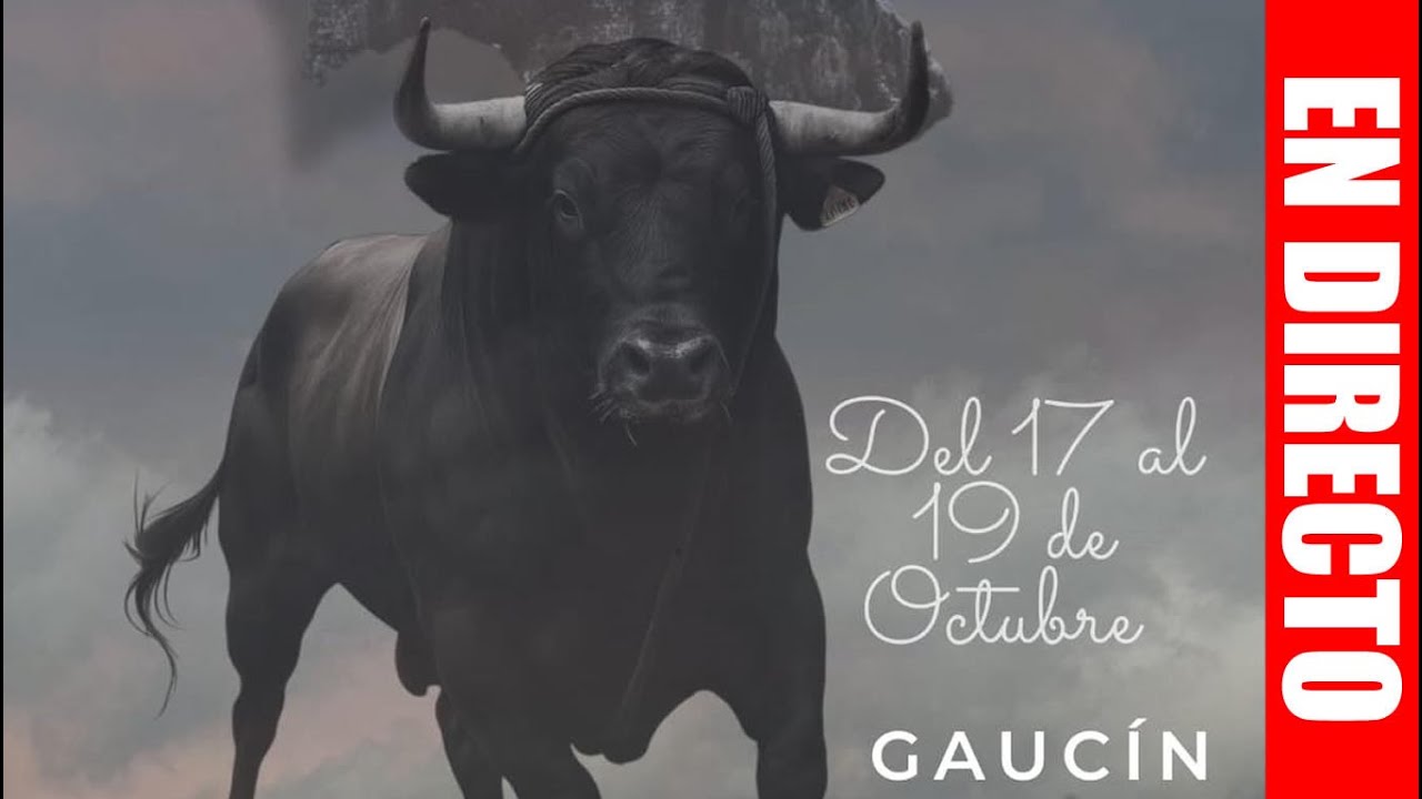 Toro de Cuerda de Gaucín 2025 [Directo]: Toro del X Aniversario de la Asociación La Cuerda de Gaucín