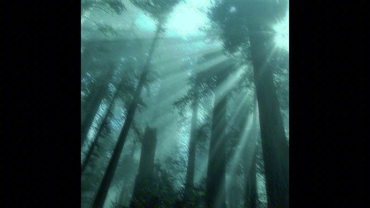 FREE | 