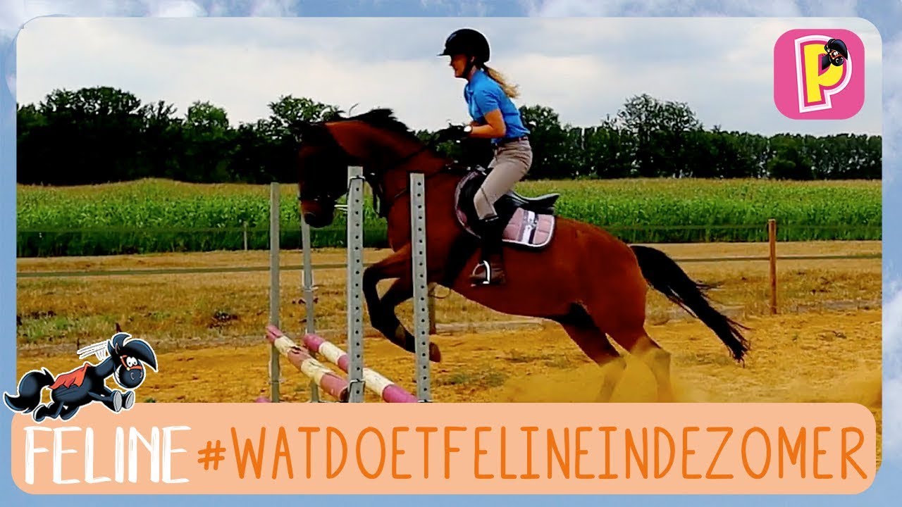Wat doet Feline in de zomer? | Feline | PennyTV