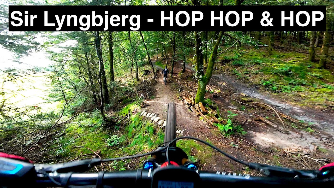 Sir Lyngbjerg MTB spor + Bikepark - Alt de røde og sorte linjer