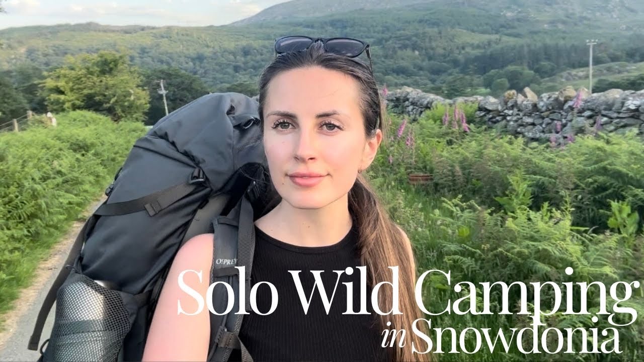 Solo Wild Camp in the Mountains of Snowdonia ⛰️ FT two baby badgers Silent video ASMR