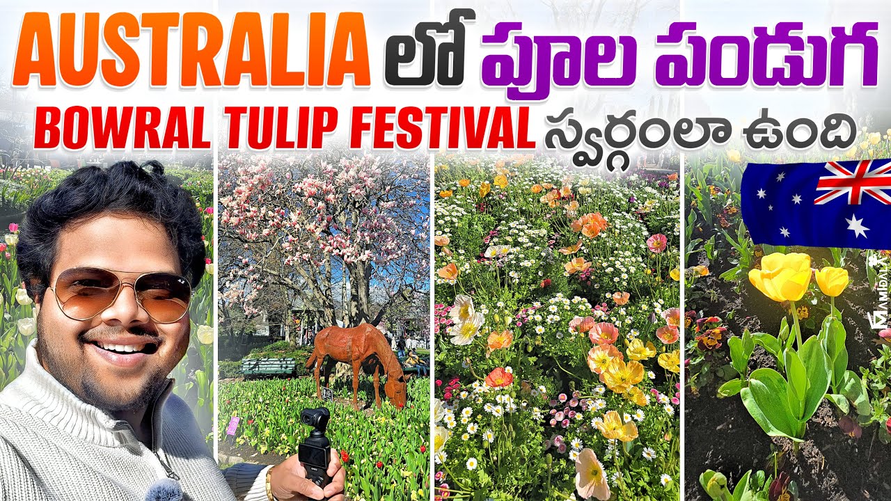 Bowral Tulip Festival 2025 🌸 | Australia లో Spring Colors 😱 | Telugu Vlogs from Australia 🇦🇺