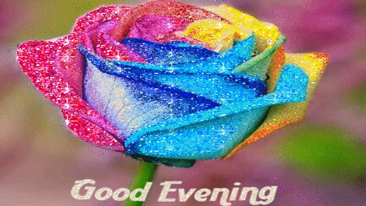 Good Evening Images New Vedio