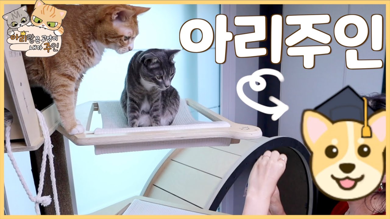 아리집사분이 아리 만나러 왔습니다.