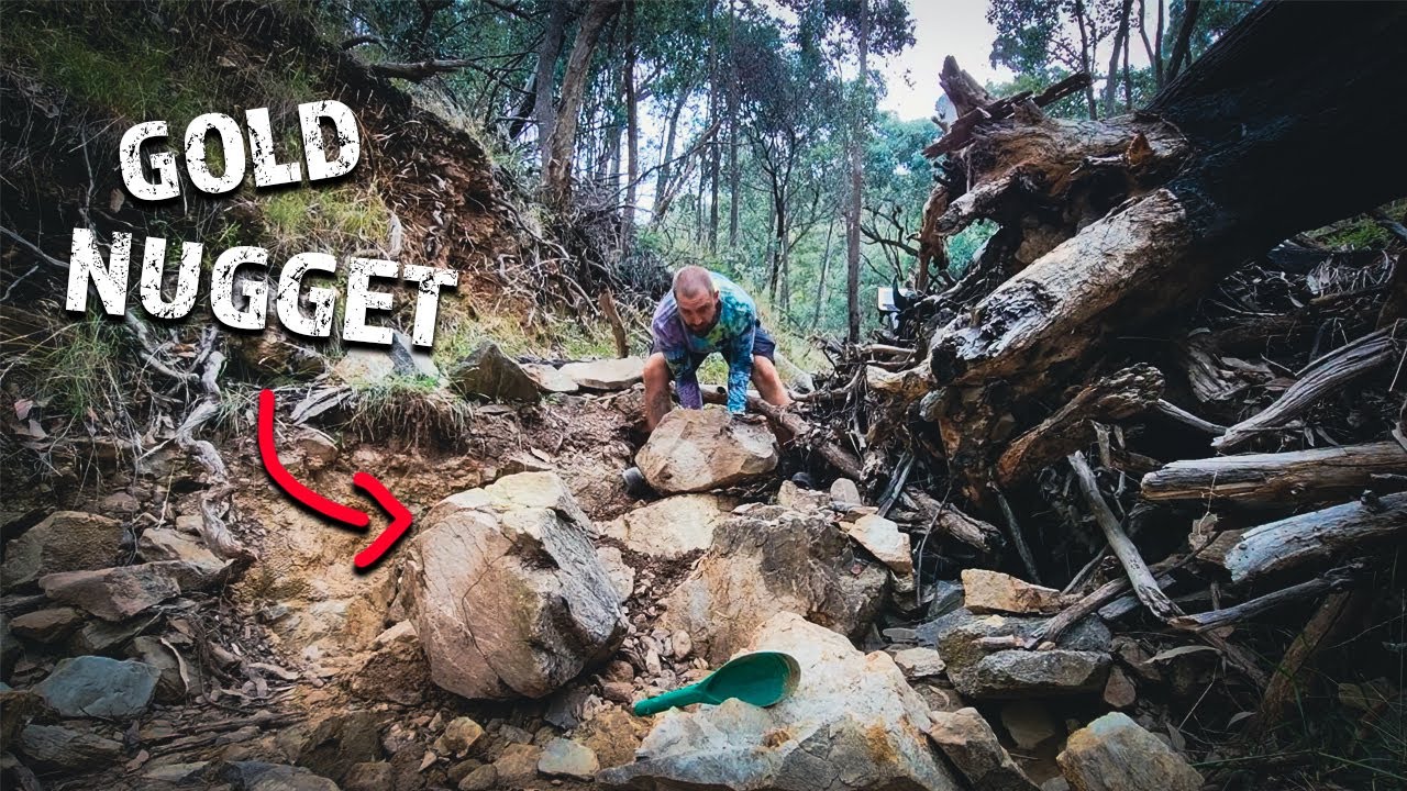 Gold Nugget Hiding Under This Rock!