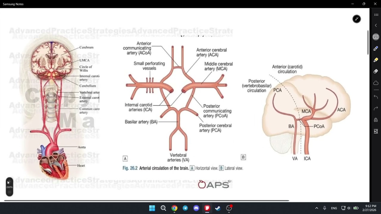 شرح محاضرة stroke دكتور وليد العاني