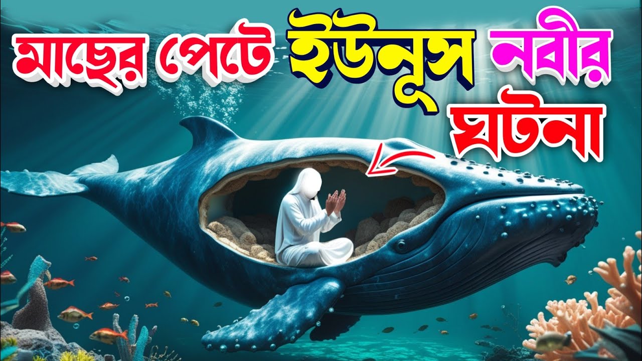 মাছের পেটে  ইউনুস নবীর জীবন কাহিনী| হযরত ইউনুস আঃ ও মাছের অলৌকিক কাহিনী । #ইসলামিক_কাহিনী #story