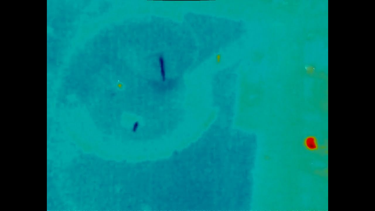 Parrot Anafi thermal drone test flight
