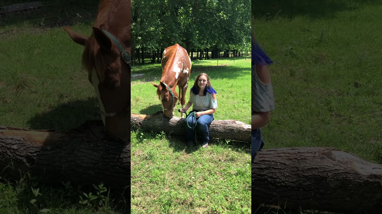 Kyra Worth AIRE Electronic Video 2020