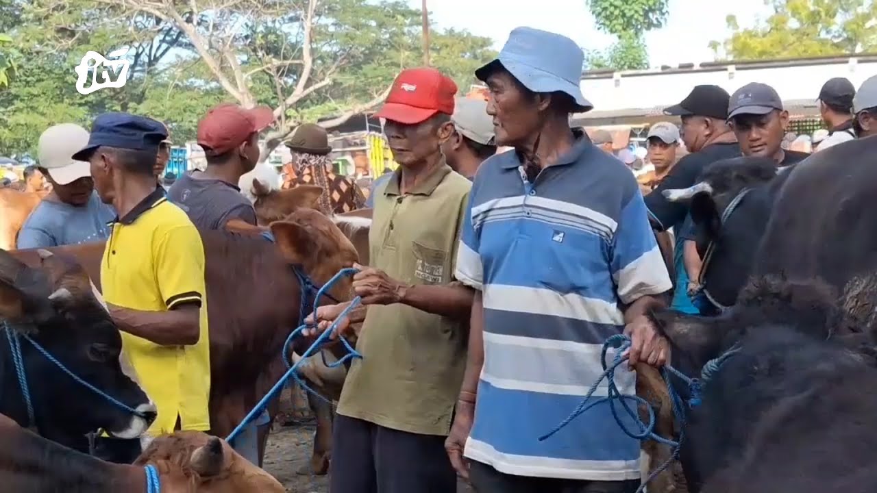 DPP Ngawi Pastikan Stok Vaksin Masih 6.000 Dosis