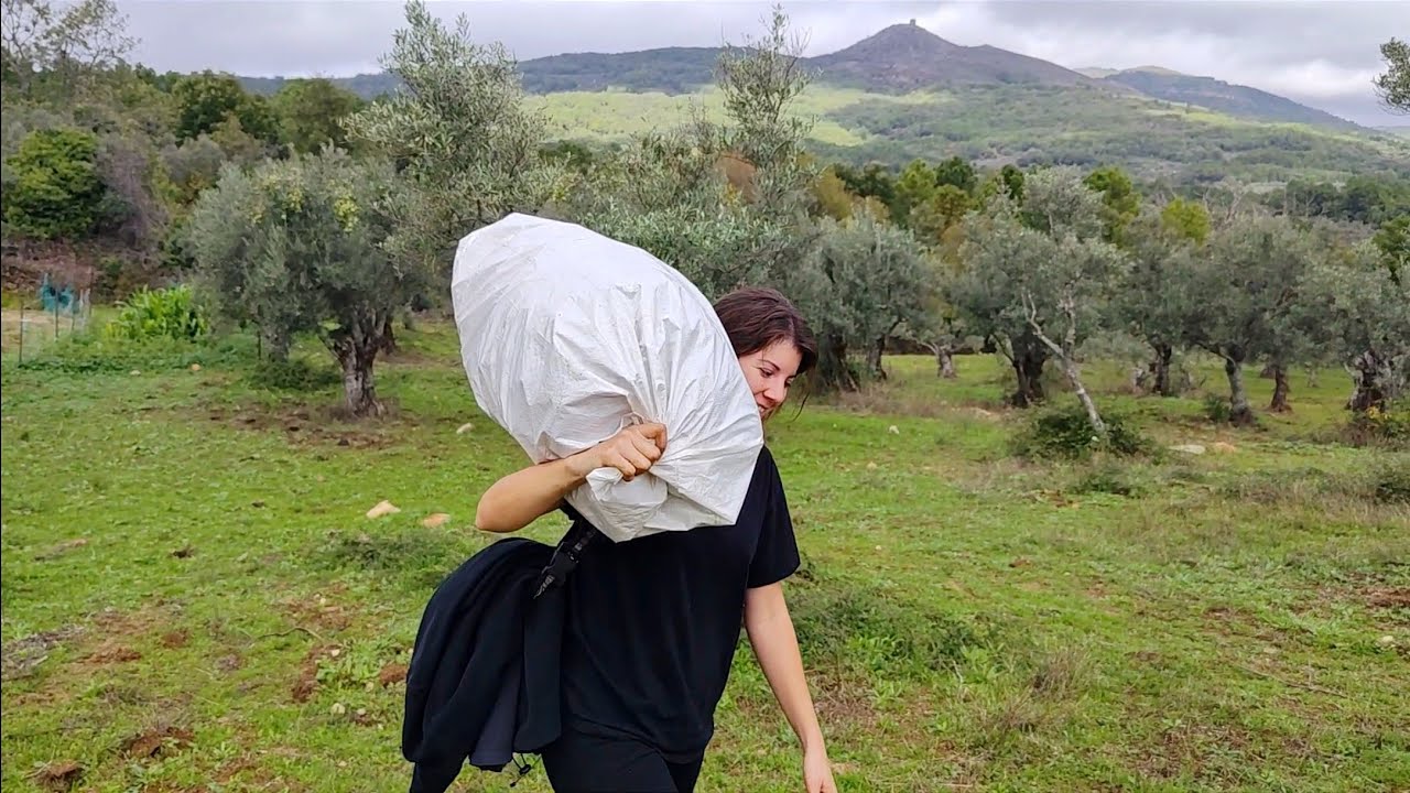 Desmantelando el huerto, las gallinas se van a poner finas