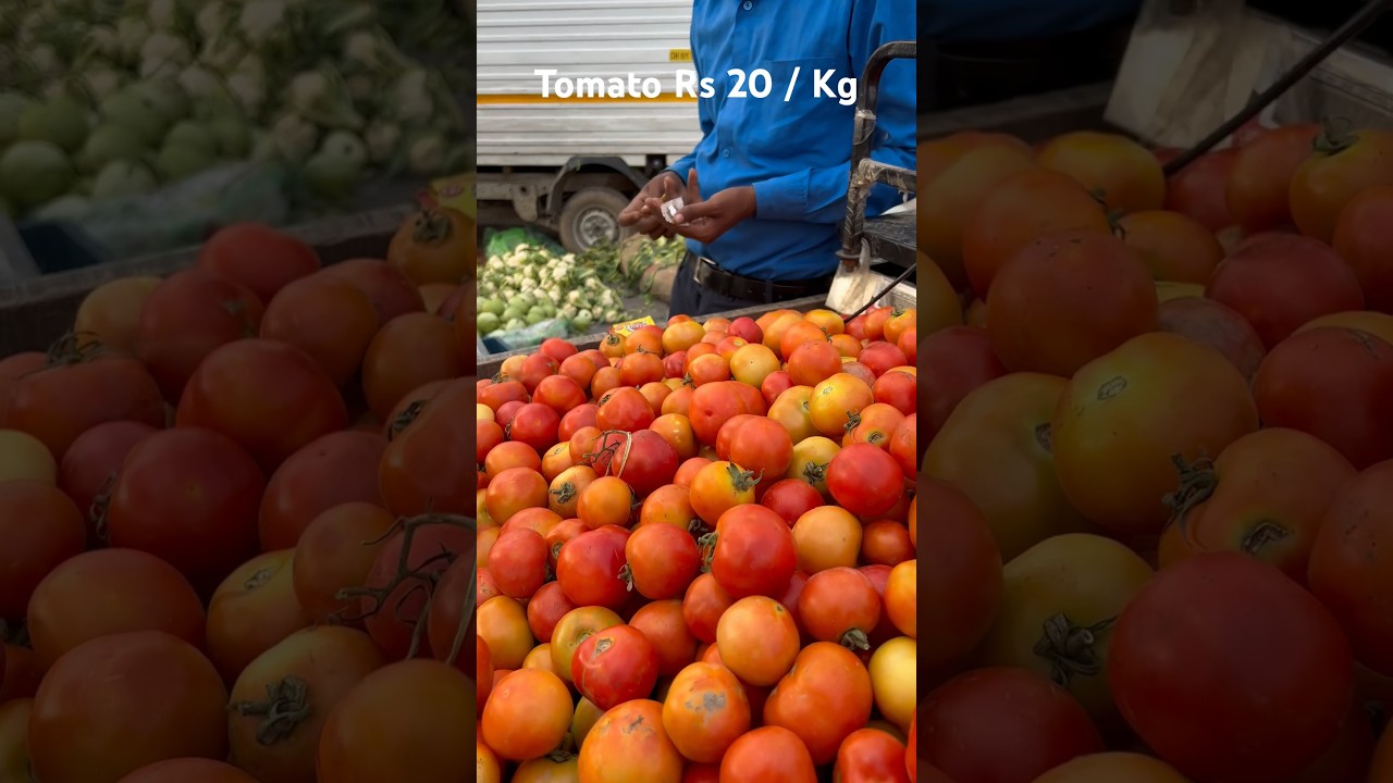 Chandigarh vegetable rates today in brief . How other shop vendors loots #india #vegetables #shorts