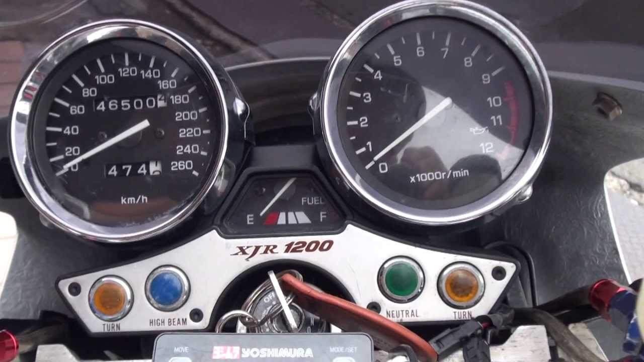 NOJIMA FASARM XJR1200 ROOKSTAR ENERGY DRINK