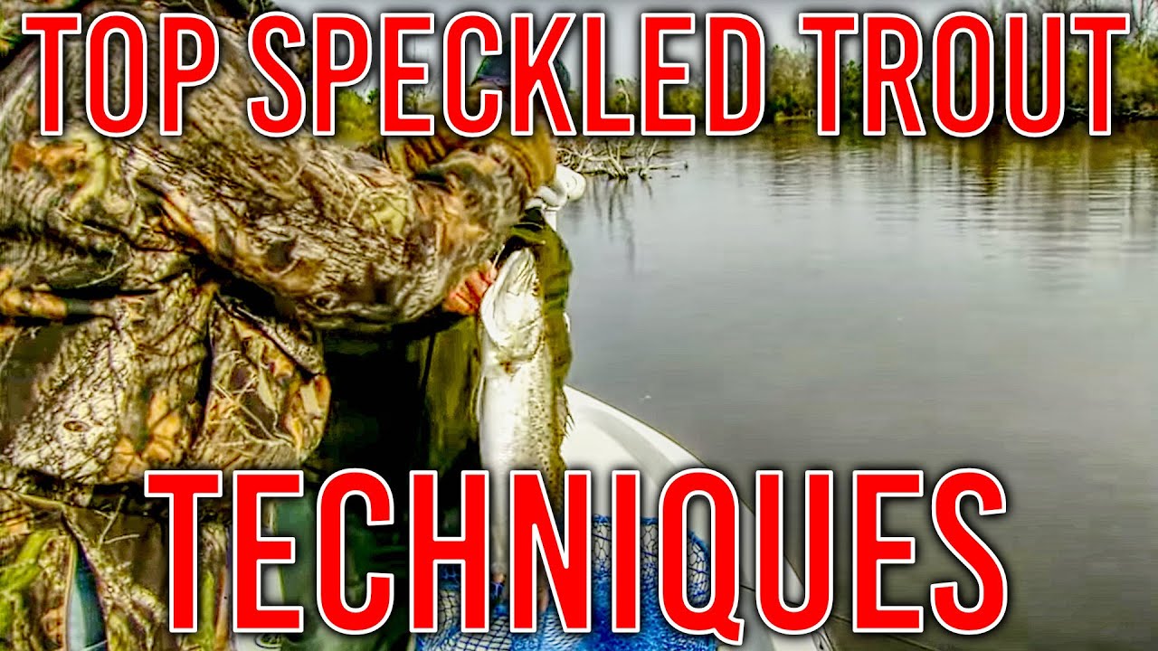 Top secrets for catching speckled trout! #fishing #fisherman