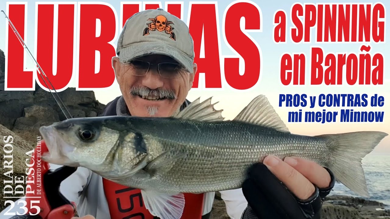 PESCA DE LUBINAS A SPINNING EN BAROÑA. Pros y Contras de mi mejor MINNOW / Seabass fishing