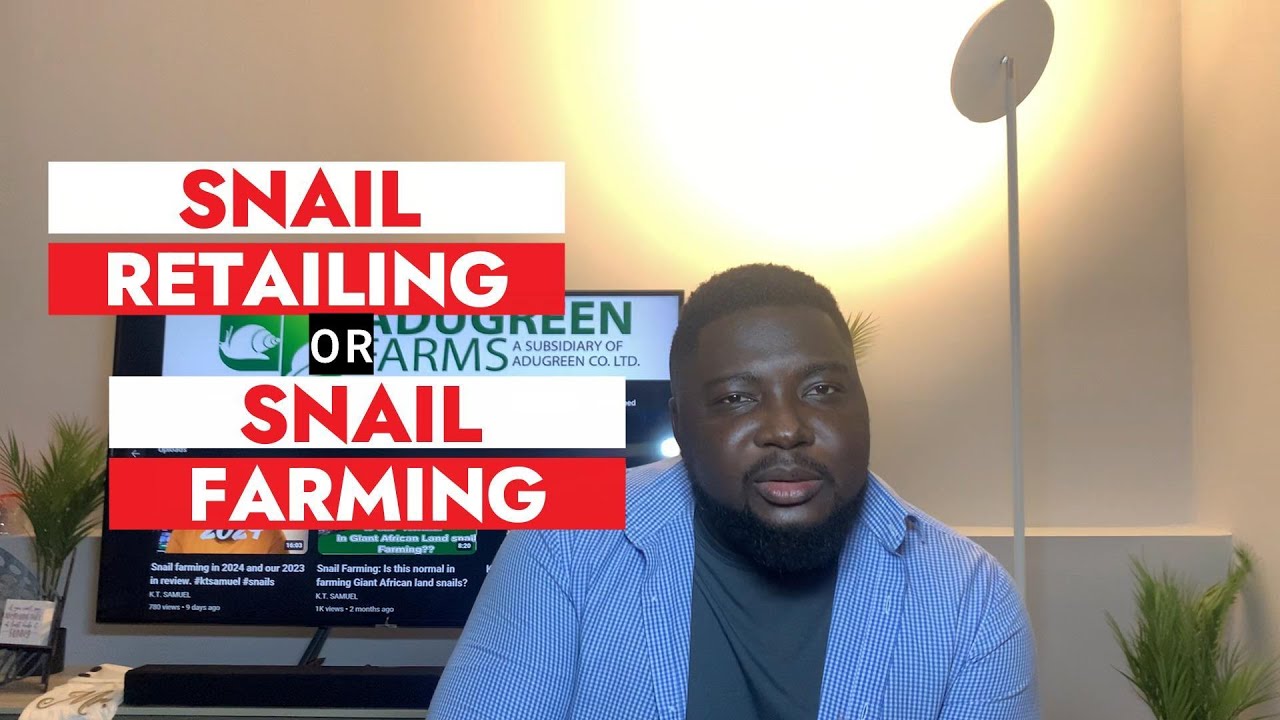 THE SNAIL FARMING BUSINESS - SNAIL RETAILING OR SNAIL FARMING. #ktsamuel #snails #farming #america