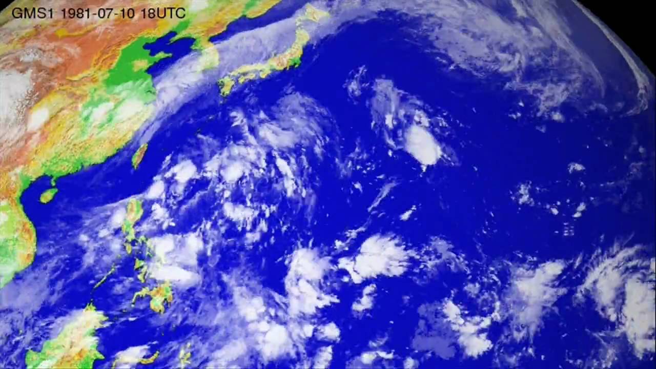 The 1981 typhoon season in the western North Pacific
