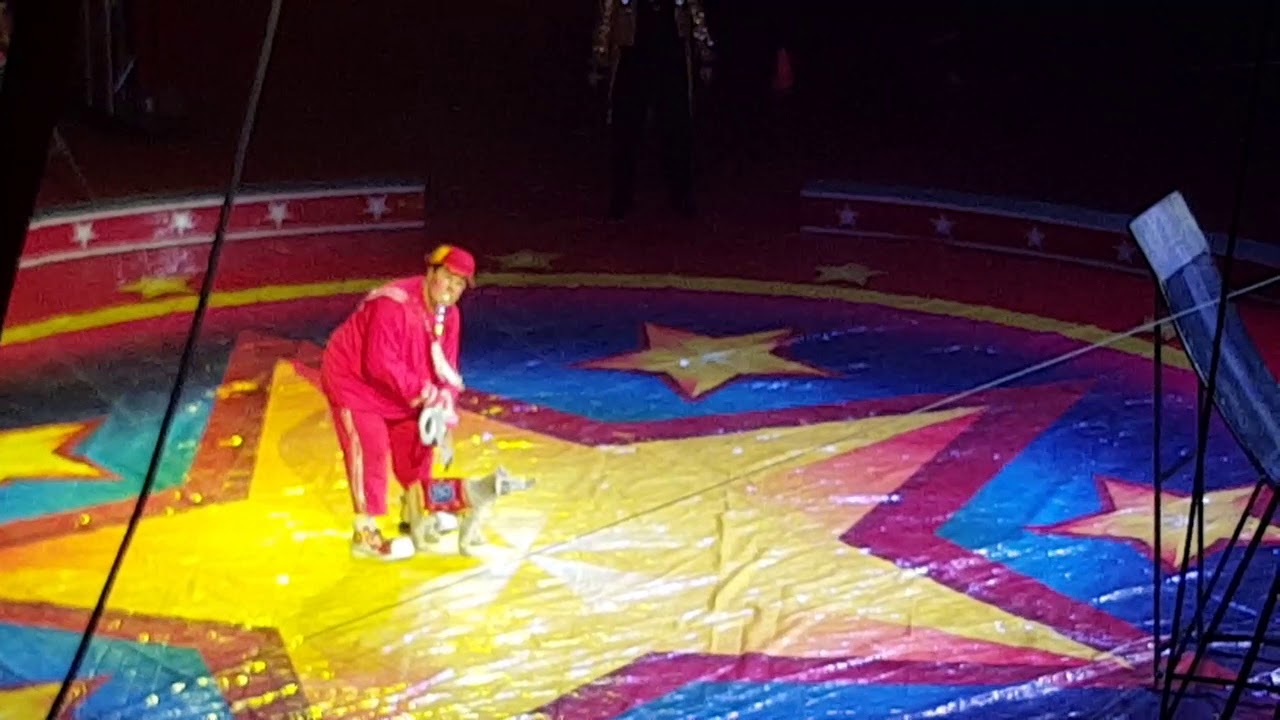 A circus clown's broken toy