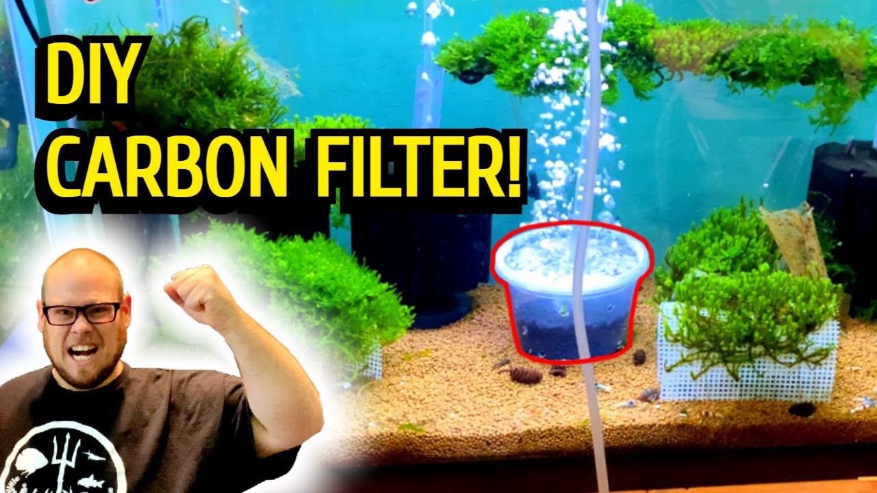DIY Carbon Filter For Aquarium