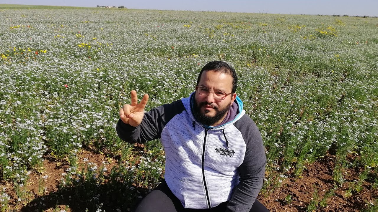 اختيار المرعى يؤثر على إنتاج العسل